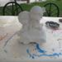 植发星ichenyingtai