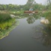 植发星拾忆Dreams