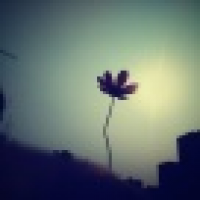 植发星萌神72JL16