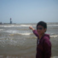 植发星鱼啊晒余额