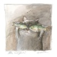 植发星就好过的撒