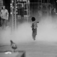 植发星丢了梦的猪