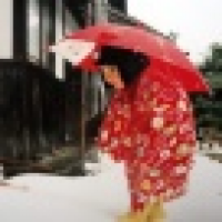 植发星瑞利威尔