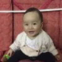 植发星窝窝圣战355