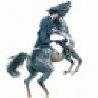 植发星love吴志树