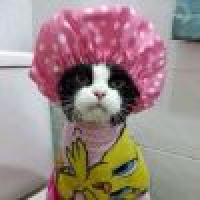 植发星独揽群芳