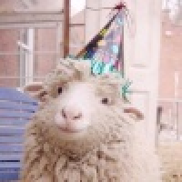 植发星li707397031