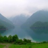 植发星迷茫丶厏