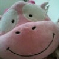 植发星涛涛瓝嬑08r