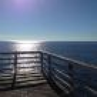 植发星NO百问不知