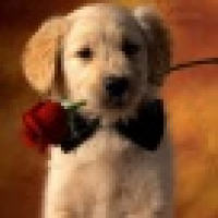 植发星新人吧V51fX