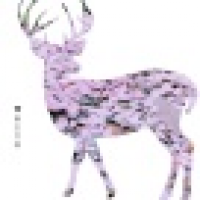 植发星大神之瘑稈