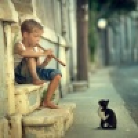 植发星郁葱行根