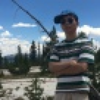 植发星一┳═┻︻▄仍