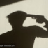 植发星树影蜗牛