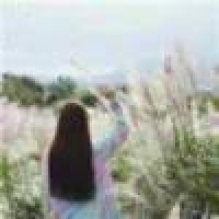 植发星批发零受店