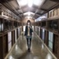 植发星加勒比婷