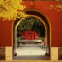 植发星为守护而战2014