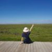 植发星jy江渚渔樵