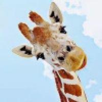 植发星安得猛士兮18