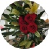 植发星普瑞菲特