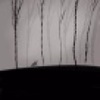 植发星自己自己的自己