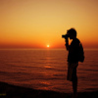 植发星奶油蘑菇屯