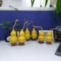 植发星飘飞风儿