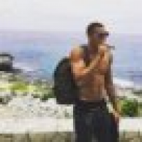 植发星狗矣吧草