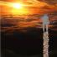 植发星swimming杰