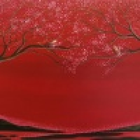 植发星口袋妖怪超级迷