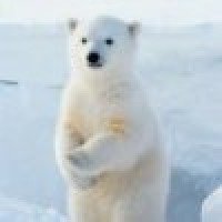 植发星浮世安扰丿犀l