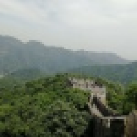 植发星宁小邪7777