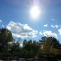 植发星judao021362