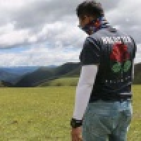 植发星省横中学子