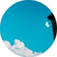 植发星xinyi198810