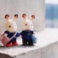 植发星江苏江都五哥