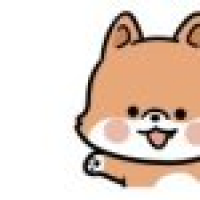 植发星过河不用船岁月