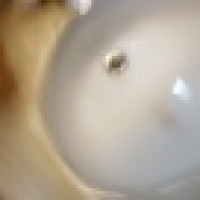 植发星牛牛wocao