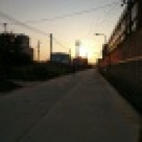 植发星里昂大叔icghja