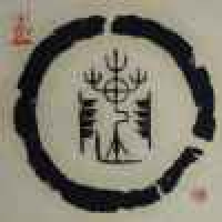 植发星大儿小妞