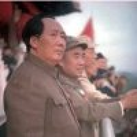 植发星ld403229751