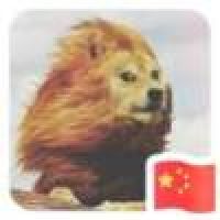 植发星尹ゼ黙0038