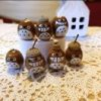 植发星某某XXXX工程师