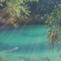 植发星阿拉松001