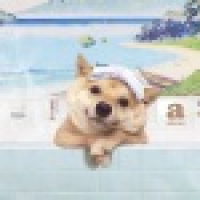 植发星蓝烂xc喋亣zm