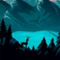 植发星盛小龙412