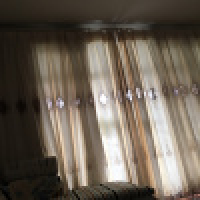 植发星清枫白杨