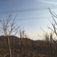 植发星飞机20035