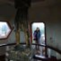 植发星泽速浪2656